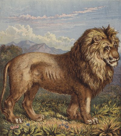 Aslan (renkli taş) by English School