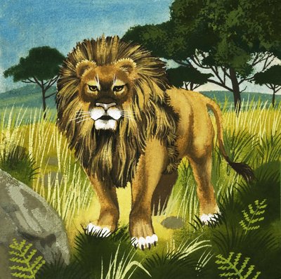 Aslan by English School