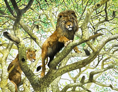 Ağaçta Aslan ve Dişi Aslan (kağıt üzerine guaj) by English School