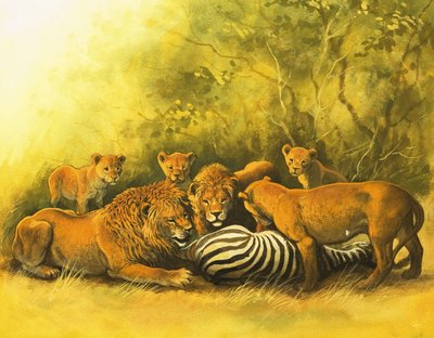 Bir zebra leşiyle beslenen aslanlar by English School