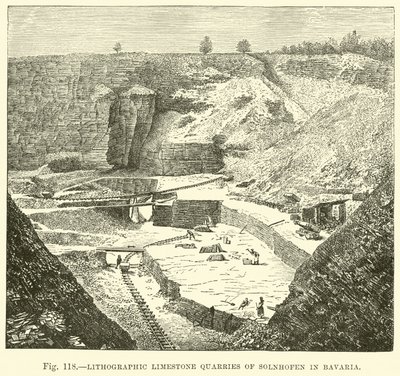 Bavyera