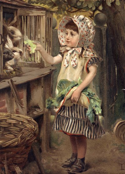 Küçük kız tavşan besleme by English School