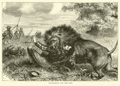 Livingstone ve aslan by English School