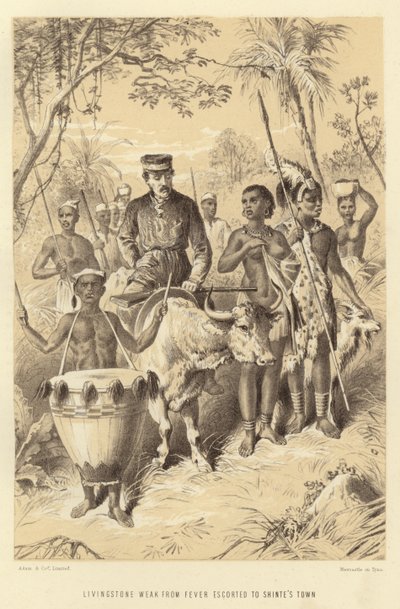 Ateşten zayıf düşen Livingstone, Shintes Kasabasına kadar eşlik etti by English School