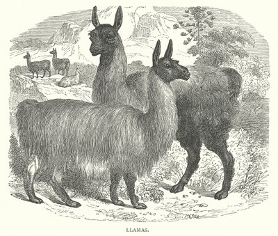 Alevler (gravür) by English School