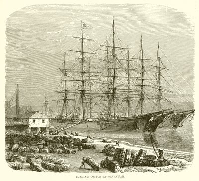 Savannah