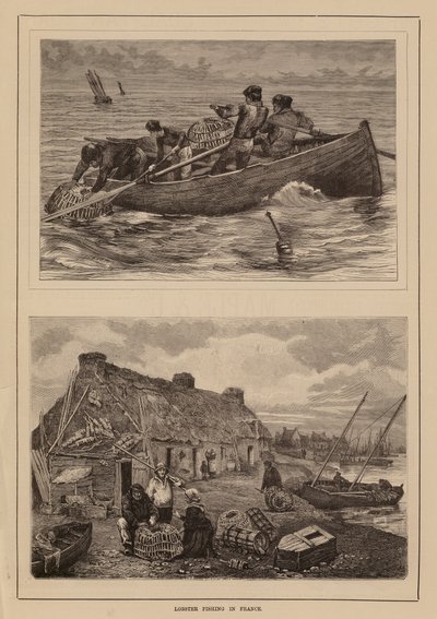 Istakoz avı, Fransa (gravür) by English School