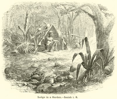 Bir Bahçede Orman Evi, İşaya, i, 8 by English School