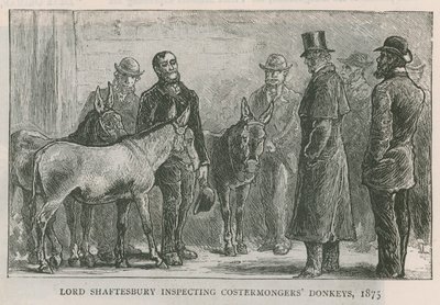 Lord Shaftesbury, mal ticareti yapan eşekleri teftiş ediyor by English School