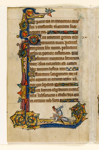 MS 1-2005, fol. 115v: Tazıya binen bir Tavşan, avcılık, Macclesfield Psalter'dan marjinal dekorasyon, Sarum Kullanımı, Doğu Anglia, c.1330 by English School