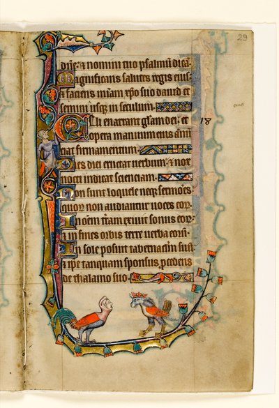 MS 1-2005, fol. 29r: İki Kuş benzeri grotesk, Macclesfield Psalter