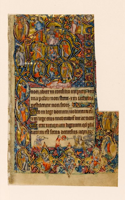 MS 1-2005, fol. 9r: Jesse Ağacı ve Beatus