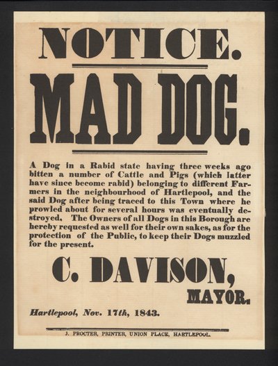 Deli köpek bildirimi, Hartlepool, 1843 by English School