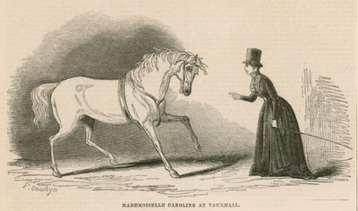 Matmazel Caroline, Londra