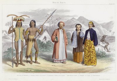 Malay Yarışı (renkli gravür) by English School