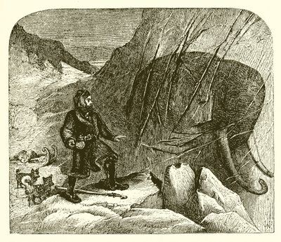 buzdaki mamut by English School