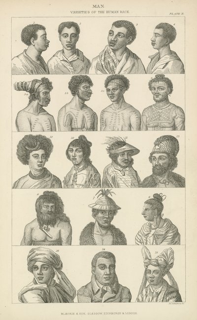 Adam. İnsan ırkının çeşitleri (gravür) by English School