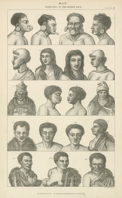 Erkek adam. İnsan ırkının çeşitleri (gravür) by English School