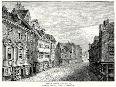Mardol Caddesi, Shrewsbury (gravür) by English School
