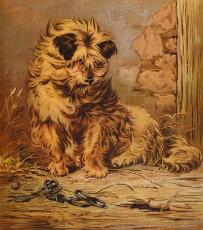 Jacko Usta (renkli lito) by English School