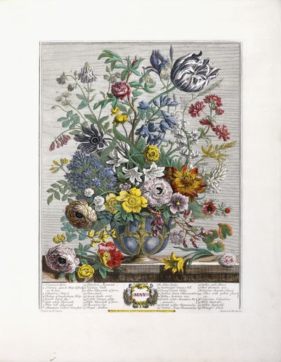 Mayıs, 1730 by English School
