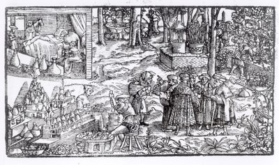 Tıbbi Bitki Yetiştiriciliği, 1531 by English School