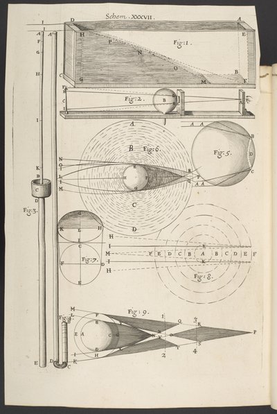 Mikrografi veya büyüteçle yapılan çok küçük cisimlerin bazı fizyolojik tasvirleri, gözlemler ve araştırmalarla, Robert Hooke by English School