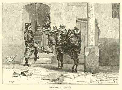 Sütçü, Salamanca by English School