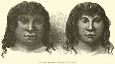 Rio siyahından Miranhas Kızılderilileri by English School