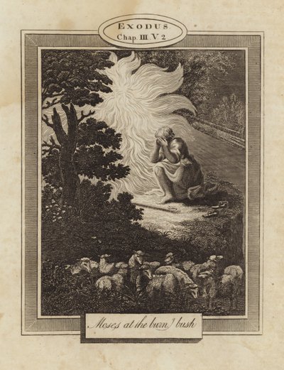 yanan çalıda Musa by English School