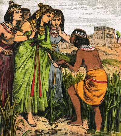 Musa keşfetti by English School
