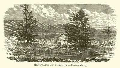 Lübnan Dağları, Hoşea, xiv, 5 (gravür) by English School