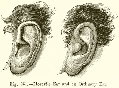 Mozart Kulağı ve Sıradan Bir Kulak by English School