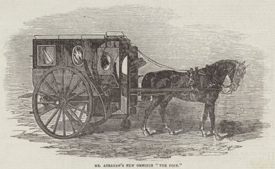 Bay Abraham
