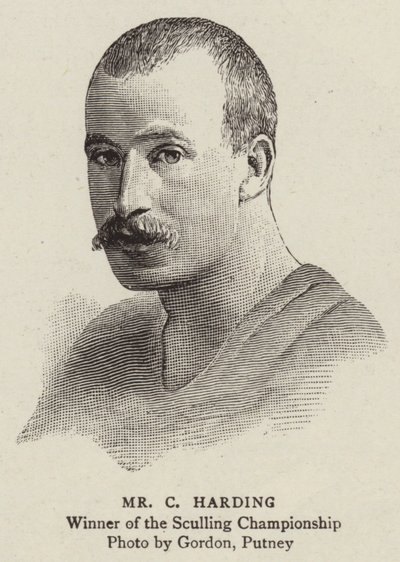 Bay C Harding (gravür) by English School