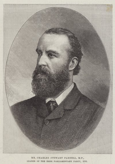 Bay Charles Stewart Parnell, Milletvekili, İrlanda Parlamento Partisi Lideri by English School