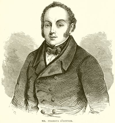 Bay. FearC OConnor by English School