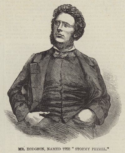 Bay Hodgson, "Fırtınalı Petrel" adını verdi (gravür) by English School