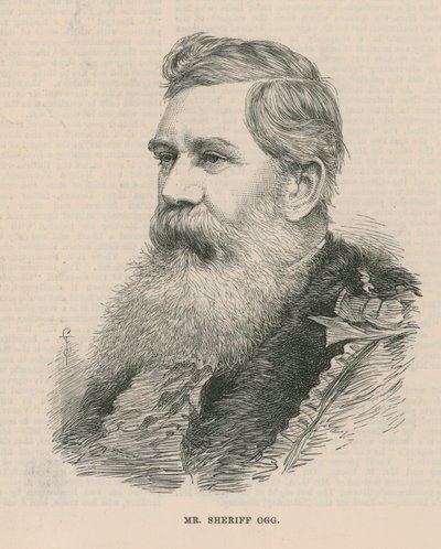 Bay Şerif Ogg by English School