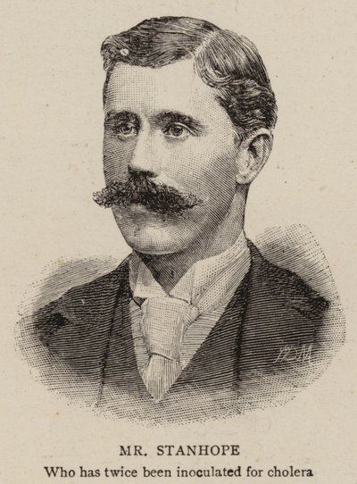 Bay Stanhope (gravür) by English School
