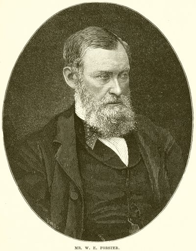 Bay W.E. Forster by English School