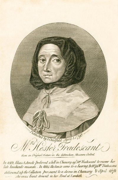 Bayan Hester Tradescant by English School