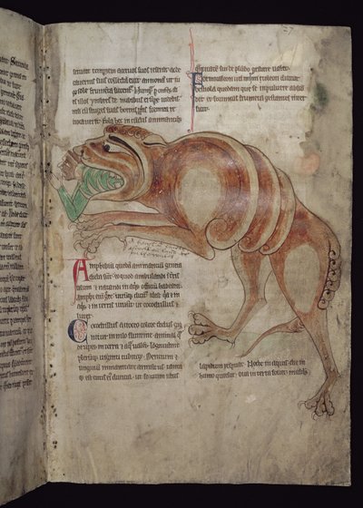 Ms.254 f.24 r Cocodrillus Bir Adamı Yutma by English School