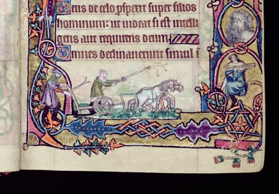 Ms 1-2005, ff.76v-77r: David ve budala, ilk olarak Macclesfield Psalter'dan alınmıştır, Use of Sarum, East Anglia, c.1330 (parşömen) (276994 detayı) by English School