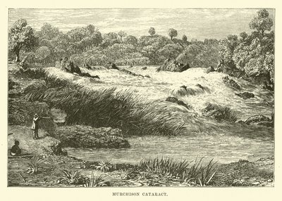 Murchison Katarakt by English School
