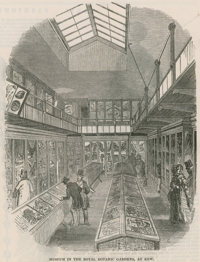 Kew Kraliyet Botanik Bahçeleri Müzesi by English School