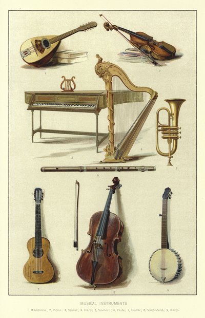 Müzik Enstrümanları by English School