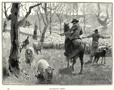 Koyun güderken (gravür) by English School