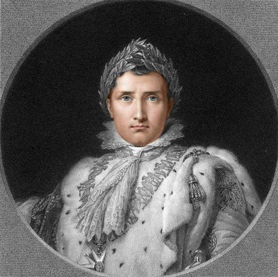 Napolyon by English School
