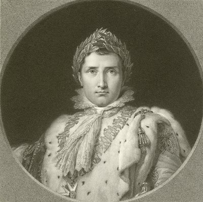 Napolyon by English School